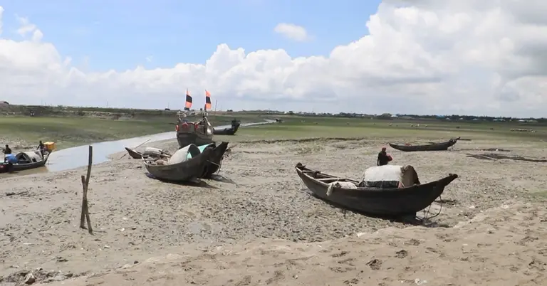 ফেনীর নদী খালগুলোতে কমছে মাছের প্রাপ্যতা